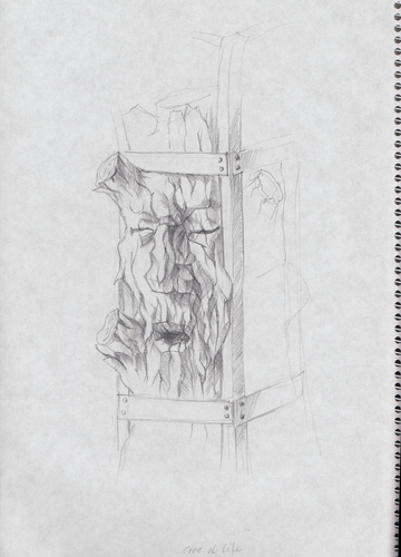 Display jumbo  07 tree of life v03 sketch
