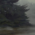 misty tree by martinbailly