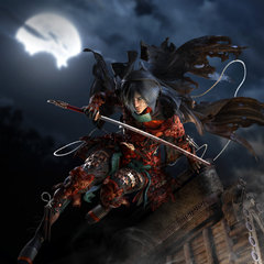 ninja female warrior - night by calebnefzen