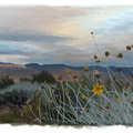 landscape study 2 by elizabethtristram