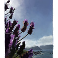 landscape study 3 by elizabethtristram