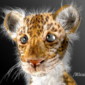 baby leopard by ricaldeart
