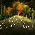 the forest doctor by afanur
