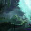 dense forest by samsam