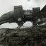 maul downed by boac