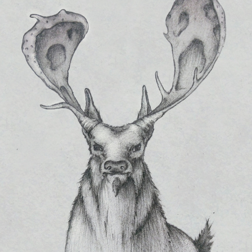 Deer by sunbirajtanjil