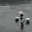 running from the rain by kashivan