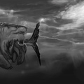 sharkanis by banecrafts