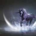 shadowshard unicorn by kashivan