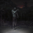 field of thorns - sleepers by caisne
