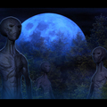 visitors by zeek