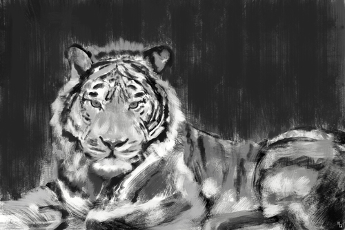 Display jumbo tiger sketch