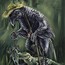 pathfinder crow druid by kaseykmay