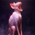 catttic by spazmaticdesign
