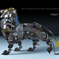 they lied by doshka