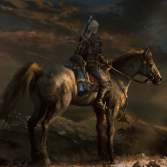the witcher by darekzabrocki
