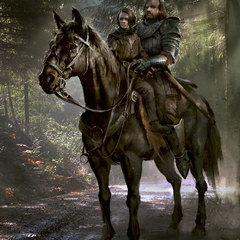 the hound and arya by darekzabrocki